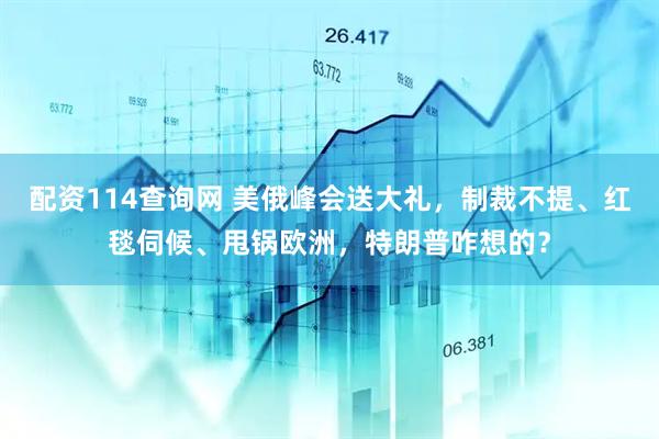 配资114查询网 美俄峰会送大礼，制裁不提、红毯伺候、甩锅欧洲，特朗普咋想的？