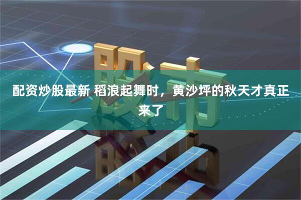 配资炒股最新 稻浪起舞时，黄沙坪的秋天才真正来了