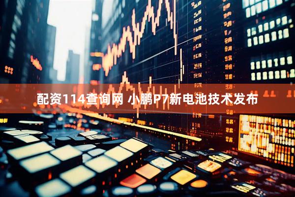 配资114查询网 小鹏P7新电池技术发布