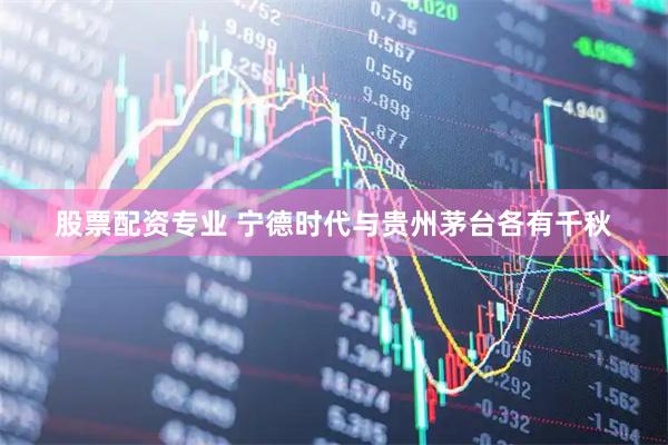股票配资专业 宁德时代与贵州茅台各有千秋