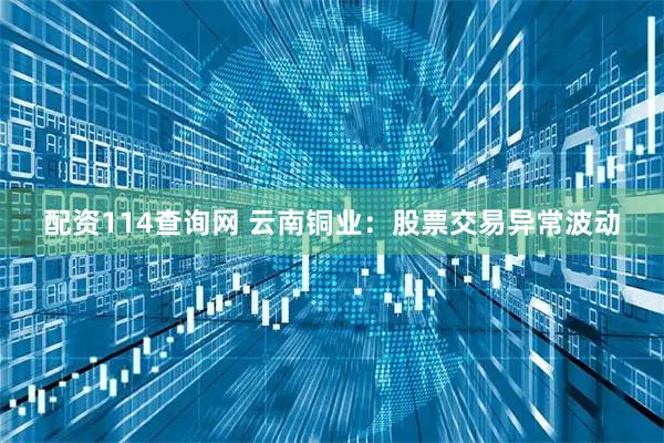 配资114查询网 云南铜业：股票交易异常波动