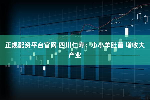 正规配资平台官网 四川仁寿：小小羊肚菌 增收大产业